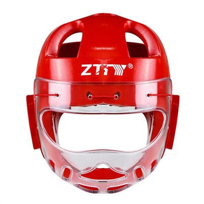 Taekwondo kepala dengan topeng